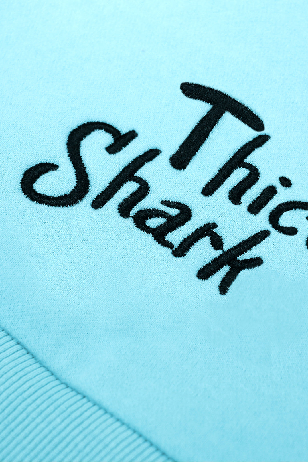 Thicc Shark Hoodie – LankyBox Shop